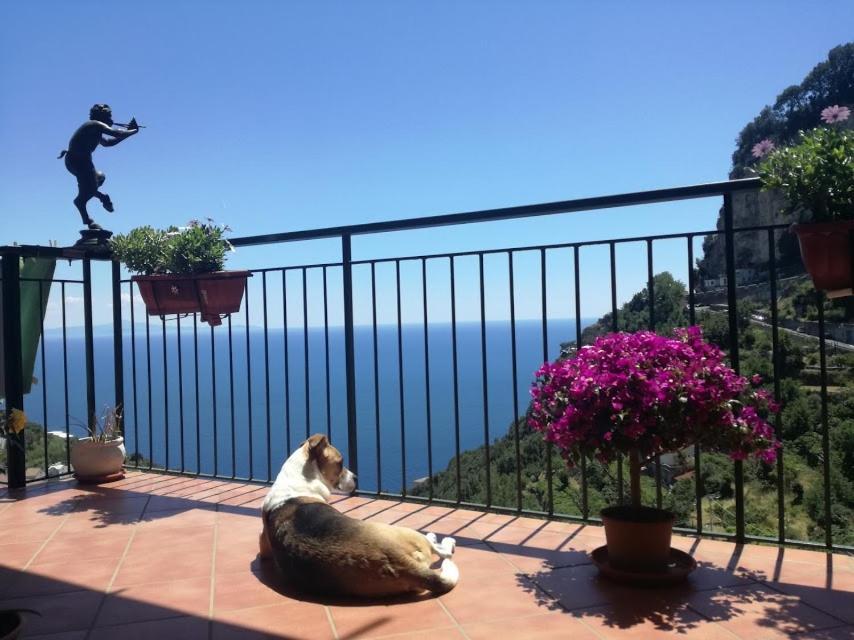 Domus Gaia Bed and Breakfast Amalfi Buitenkant foto